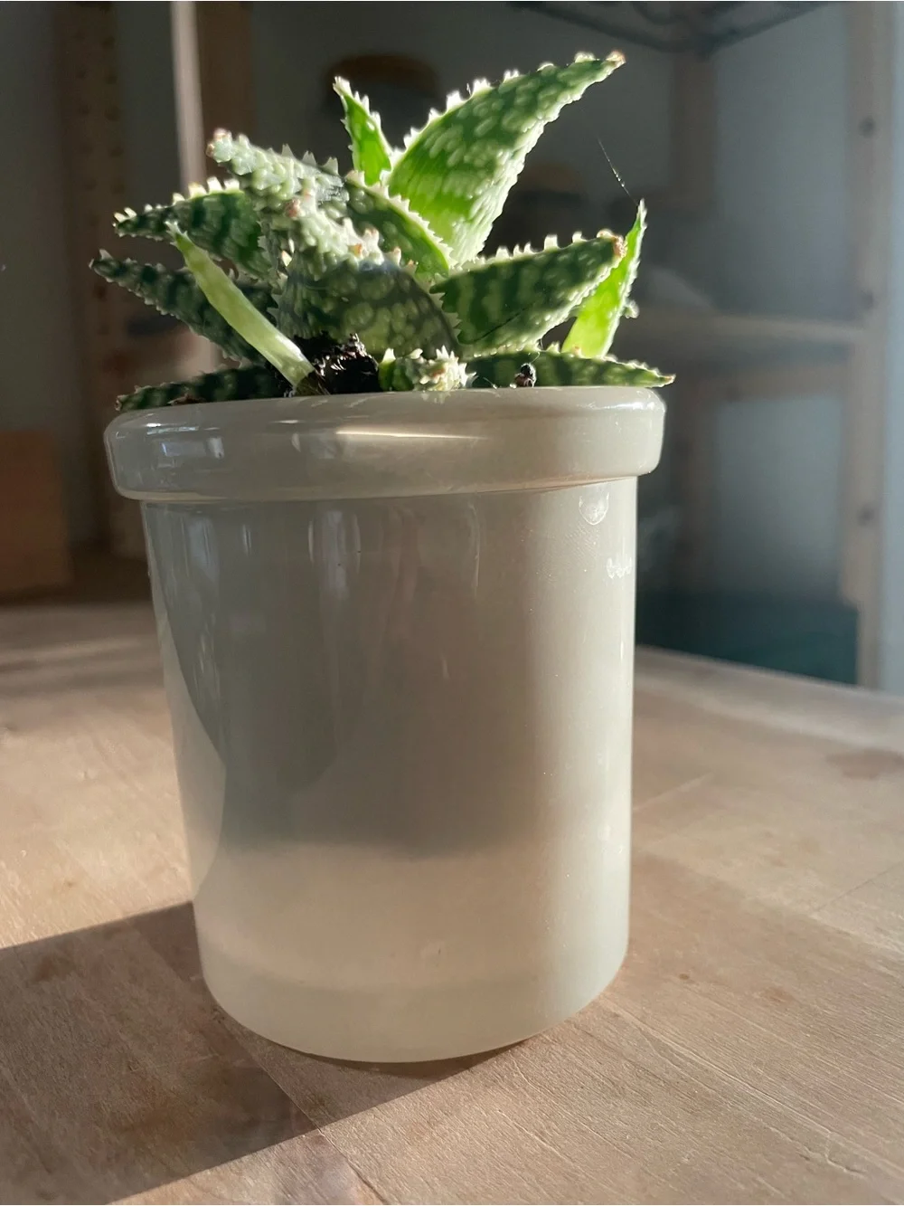 Sage Green Jar